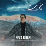 دانلود آهنگ رضا بیجاری میخواهمت