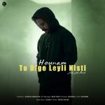 دانلود آهنگ هونام تو دیگه لیلی نیستی