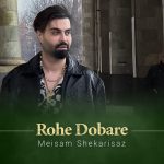 دانلود آهنگ میثم شکری ساز روح دوبارهی