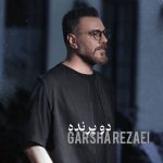 دانلود آهنگ گرشا رضایی دو پرنده