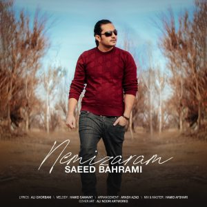 دانلود آهنگ سعید بهرامی نمیزارم