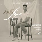 دانلود آهنگ حسین توکلی تو را میخواهم