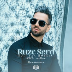 دانلود آهنگ مرتضی حسینی روز سرد