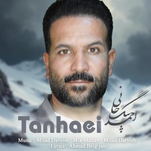 دانلود آهنگ احمد بیگجانی تنهایی