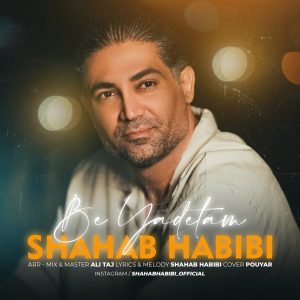 دانلود آهنگ شهاب حبیبی به یادتم