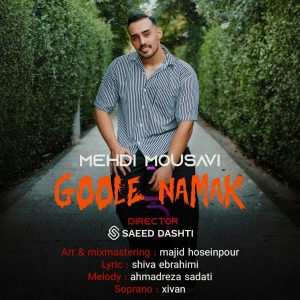 دانلود آهنگ مهدی موسوی گوله نمک